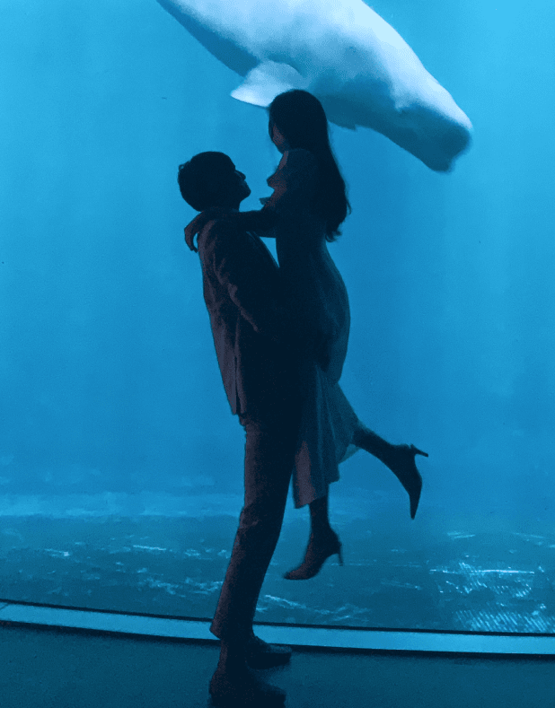 흰고래를 보는 커플 이미지