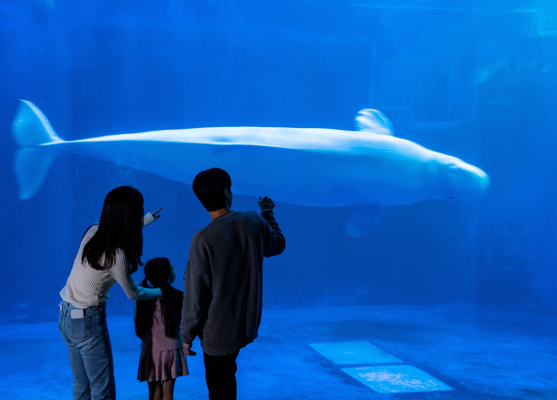 흰고래를 보고있는 가족 이미지
